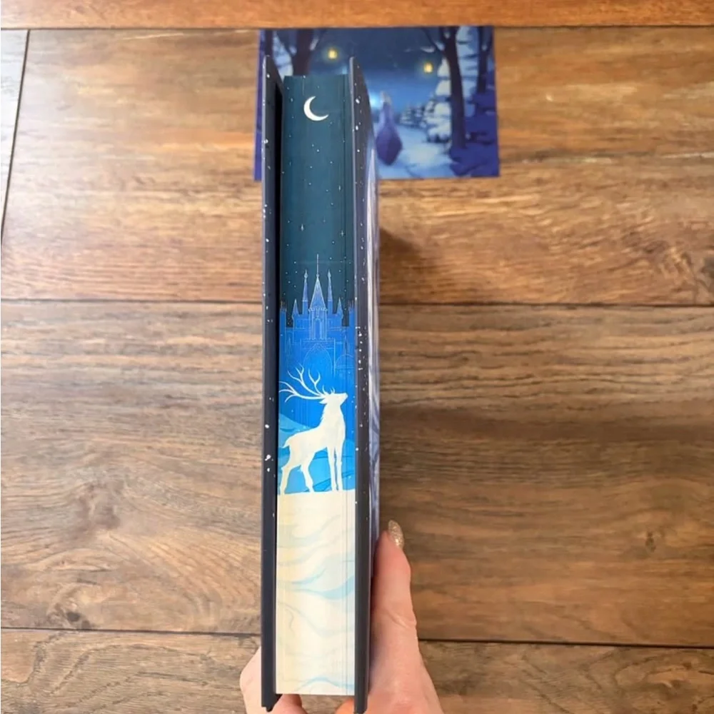 Fairyloot February YA 2026 (The Sun and the Starmaker) - Picture 2 of 8